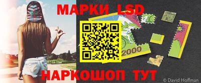 МДПВ Новозыбков