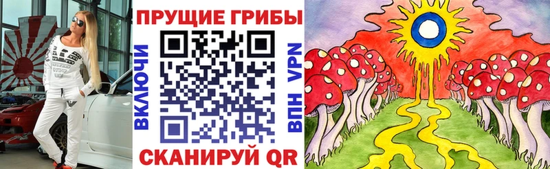 закладки Электрогорск Псилоцибиновые грибы Psilocybe