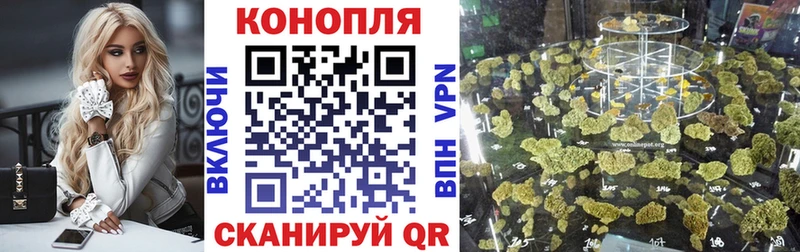 Конопля THC 21% Электрогорск